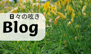 blog