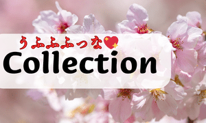 コレクション